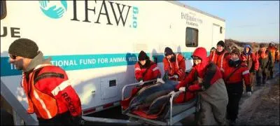 La réponse s'observe dans les marais, à la jumelle !