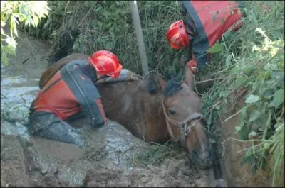 La réponse vous laissera un goût salé !