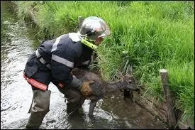 La réponse vous fera fumer, surtout si vous ne la trouvez pas, je vous recommande donc chaudement de faire un effort !