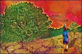 Ce quiz a été pour vous comme pour moi, une ----------.