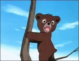 Parmi ces noms, lequel n'est pas le prénom d'un ours ?