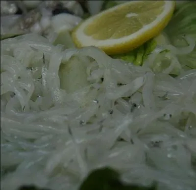 C'est bien la surpêche industrielle qui est la cause de sa disparition et non la pêche à pied que nous faisions sur nos côtes. Que quoi parle-t-on ?