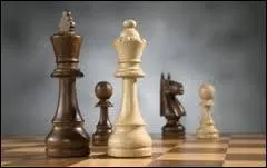 Quelle pièce remplace le vizir utilisé par les Arabes ?