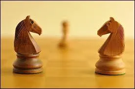 Vrai ou faux ? Le cavalier peut s'arrêter sur la case à côté de lui.