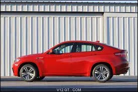 C'est le profil d'une BMW, mais quel est le modèle ?