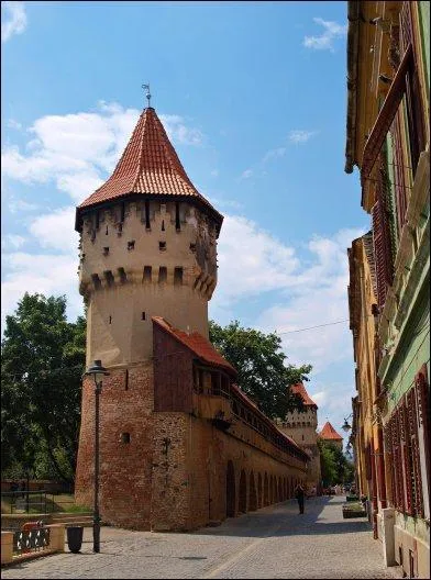 Pourquoi ne pas se faire une "retraite châteaux" et dorloter là où sont nés Horia et Ioana, mes (beaux) enfants ? C'est un (pas si) petit pays (pas si) loin d'ici, où l'on dit "mersi" pour "merci". Lequel ?