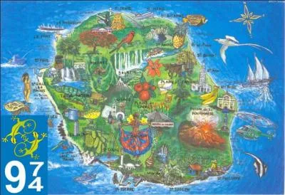 La pauvre Lucie a eu bien du mal à s'adapter au climat bourguignon, elle qui vient du pays du margouillat. Mais qu'est-ce que c'est que cette bestiole ?