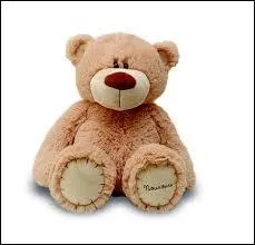 Quel président était surnommé "Teddy" ?