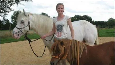 Quel cheval est le plus petit ?