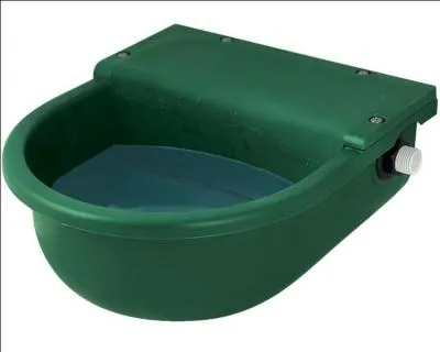 Où les chevaux boivent-ils ?