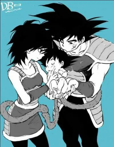 Comment s'appelle la mère de Goku ?