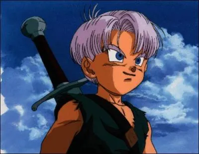Lequel de ces personnages est relié par le sang avec Trunks ?