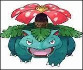 Quel est le nom de ce Pokémon ?