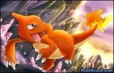 Quel est le nom de ce Pokémon ?