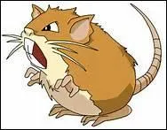 Comment s'appelle ce Pokemon ?