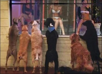 Et si l'envie me prenait de vous dire "Radar", qu'en penseriez-vous ?