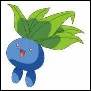 Avez-vous trouvé son nom ?