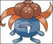 Comment s'appelle-t-il ?