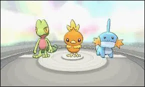 Comment s'appelle le Pokémon à gauche de Poussifeu ?