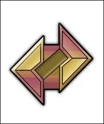 Comment s'appelle le badge de Roxane ?