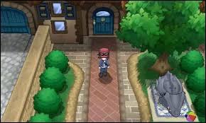 Quel Pokémon appartient à notre mère ?