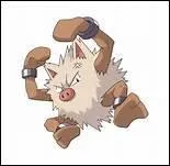 Quel est le nom de ce Pokémon ?