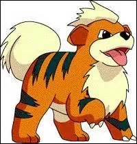 Avez-vous trouvé son nom ?