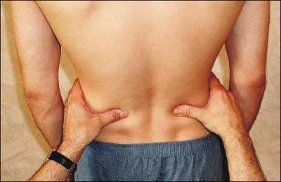 Quelle partie du corps humain concerne la crête iliaque ?