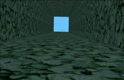 Nous chutons dans une trappe ! 
L'herbe a amorti notre chute, nous allons devoir escalader le mur pour remonter.
Sachant qu'il mesure 6 mètres de haut et qu'escalader 1 mètre nous prend 1 minute, en combien de temps serons-nous remontés si nous faisons un pause de 30 secondes tous les deux mètres ?