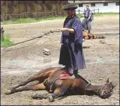 Les cavaliers du monde ont des noms différents.