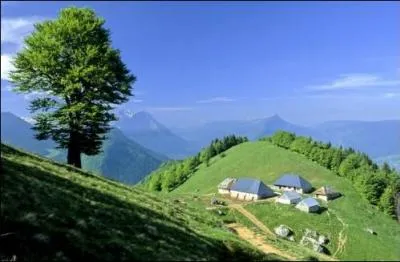 Quel est l'intrus parmi ces fromages ?