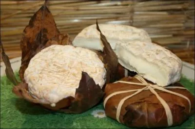 Le banon est un fromage de chèvre de Haute-Provence. C'était aussi le nom de Tristane Banon qui, en 2011, a été connue dans la France entière après...