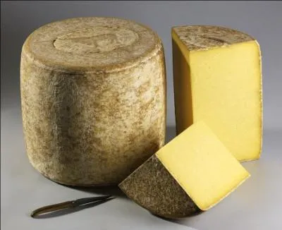 Au milieu de l'Aubrac se trouve Laguiole où l'on fait le fromage appelé laguiole. Ce village est aussi connu pour sa fabrication de...