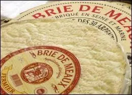 Dans le même département, on produit aussi du brie à Meaux. Quel Meldois (c'est le nom des habitants) célèbre porte ou a porté le surnom suivant : ''L'Aigle de Meaux'' ?