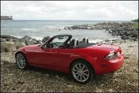 De quelle marque de voitures fait partie cette voiture décapotable ?