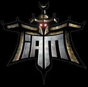 Combien de membres comprenait le groupe IAM ?