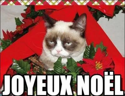 Qui a décidé que Noël serait le 25 décembre ?