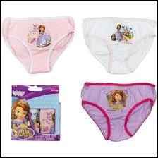 Comment appelait-on les révolutionnaires français ?