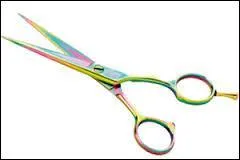 Par quoi les deux lames constituant les ciseaux des Romains étaient-elles reliées ?