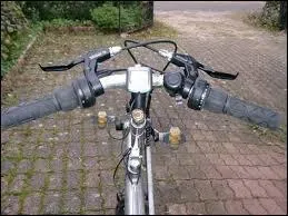 Guide ou guidon, c'est le même mot en espagnol pourvu qu'il soit accompagné d'un article au féminin : la guía, una guía.