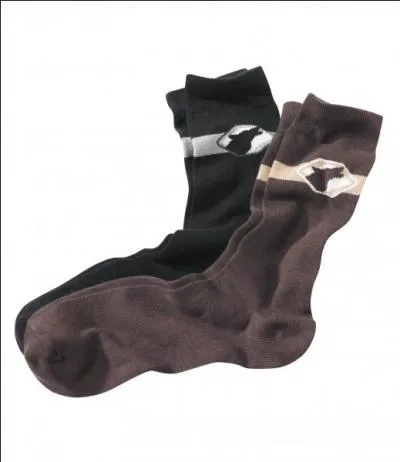 Dans ce film, un animal porte le même nom que les objets de la photo, un indice : Dressée avec le poing !