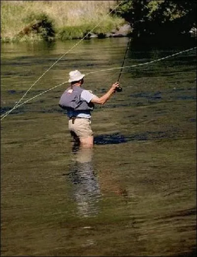 Si vous ne trouvez pas le titre, ne prenez pas la mouche !