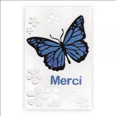 Moqueur, railleur, sarcastique :