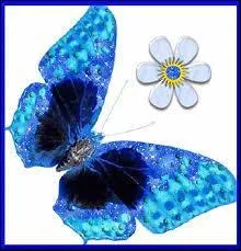 Chamois des Pyrénées :