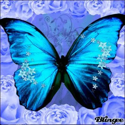 Matière odorante que l'on extrait de la racine de l'iris :