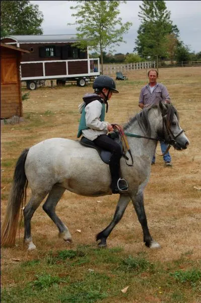 Est-ce une bonne position pour arrêter son poney ?