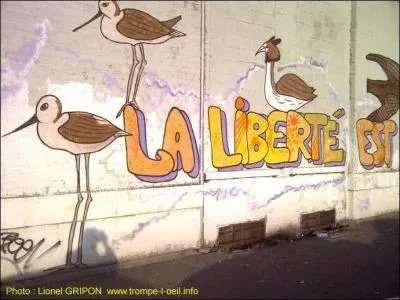 Jacques Prévert : "Un seul oiseau en ... la liberté est en deuil."