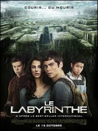 Dans "Le labyrinthe", comment appellent-ils leur refuge ?