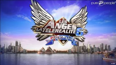 Dans « Les Anges 6 » quel animal reçoit la villa ?