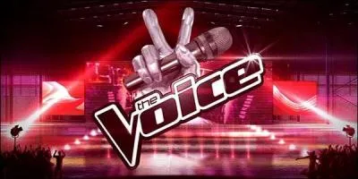 Qui est le gagnant de « The Voice », saison 3 ?
